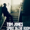 Слушать Tom Jones