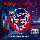 Evil Not Alone - Tornado Low Kick