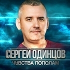 Сергей Одинцов - Чувства пополам