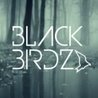 Слушать Black Birdz