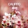 Слушать Calippo