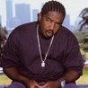 Слушать Gangsta and Ice Cube, Jayo Felony, Squeak Ru