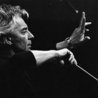 Слушать Herbert von Karajan, Anne-Sophie Mutter Violine, Antonio Meneses Violoncello, Berliner Philharmoniker