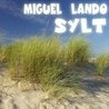 Слушать Miguel Lando