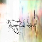 Magnetic Wind