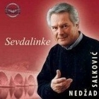Nedzad Salkovic (Nedžad Salković)