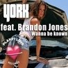 Слушать York feat. Brandon Jones