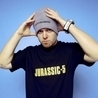 Слушать DJ Krush & DJ Shadow